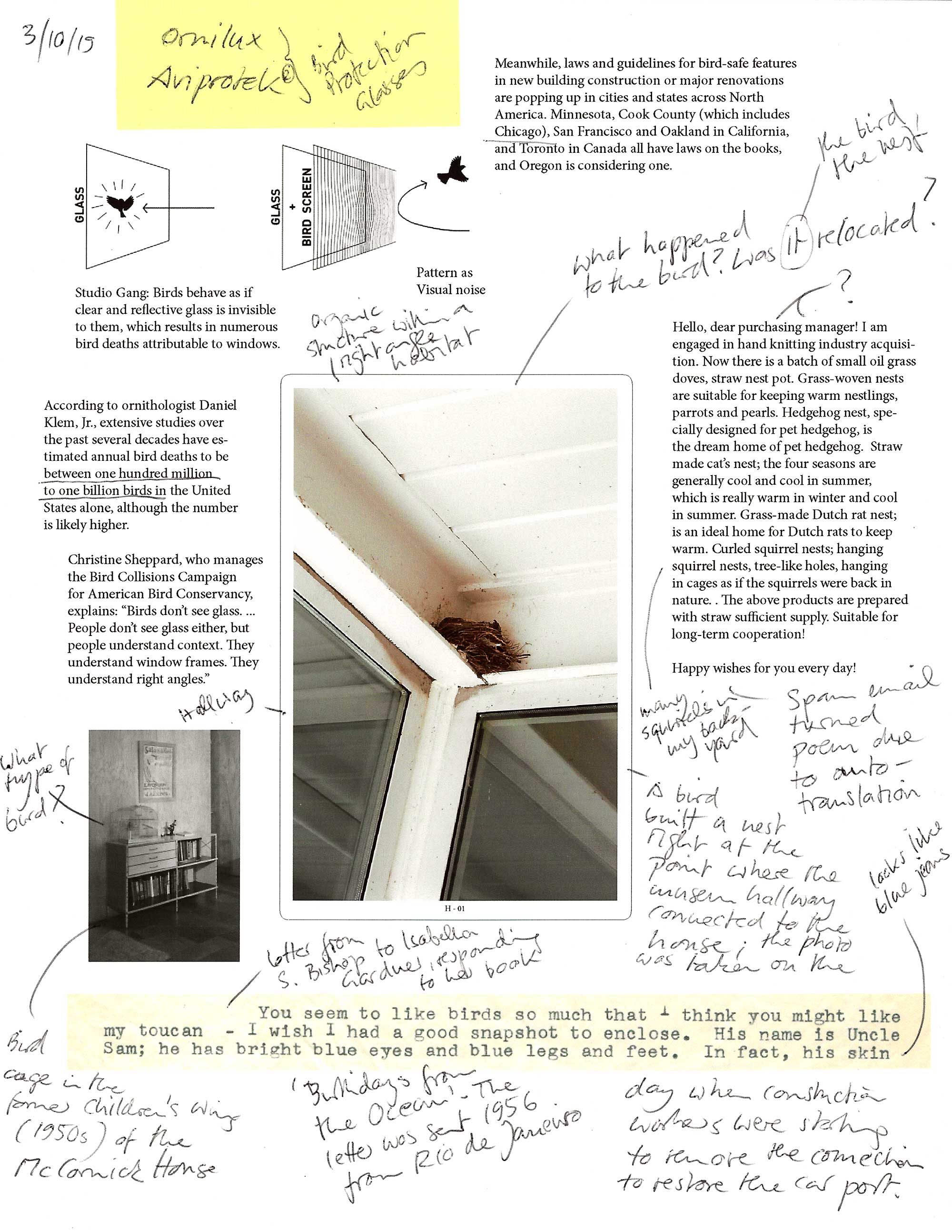 Birds, Bird Deaths, McCormick House, Isabella Gardner, Claudia Weber, Notes