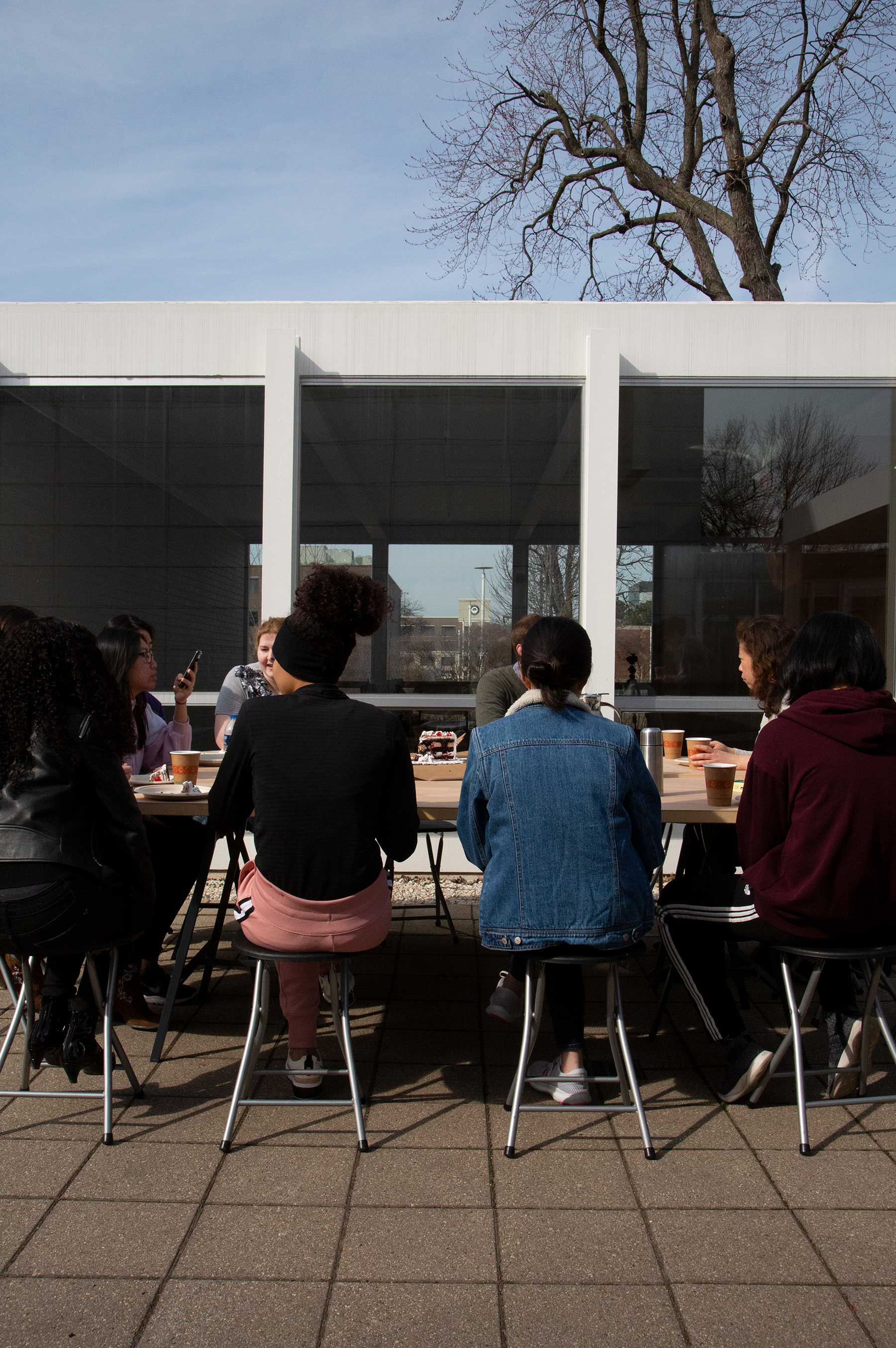 Mies van der Rohe's birthday, my birthday, Black Forest Cake, McCromick House, celebration, SAIC students